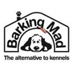 Barking Mad - Blackpool